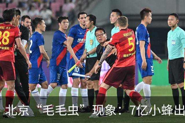 北京“毛毛虫”现象：7亿小蜂出击应对外来虫害