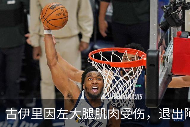 古伊里因左大腿肌肉受伤，退出阿尔及利亚集训